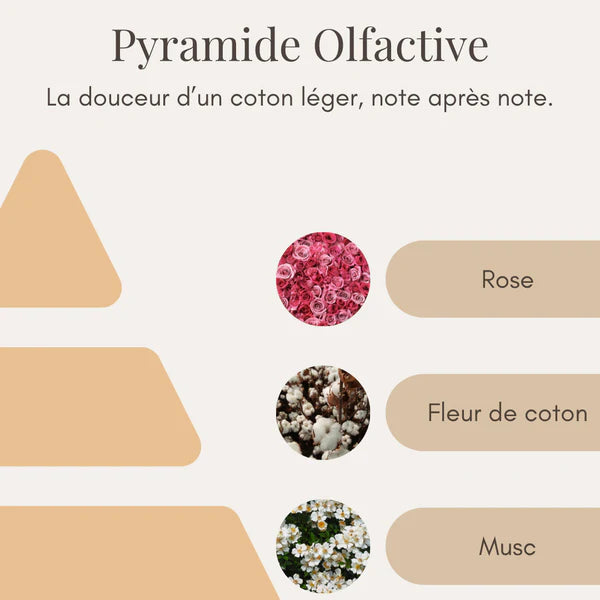 Bougie fleur de coton